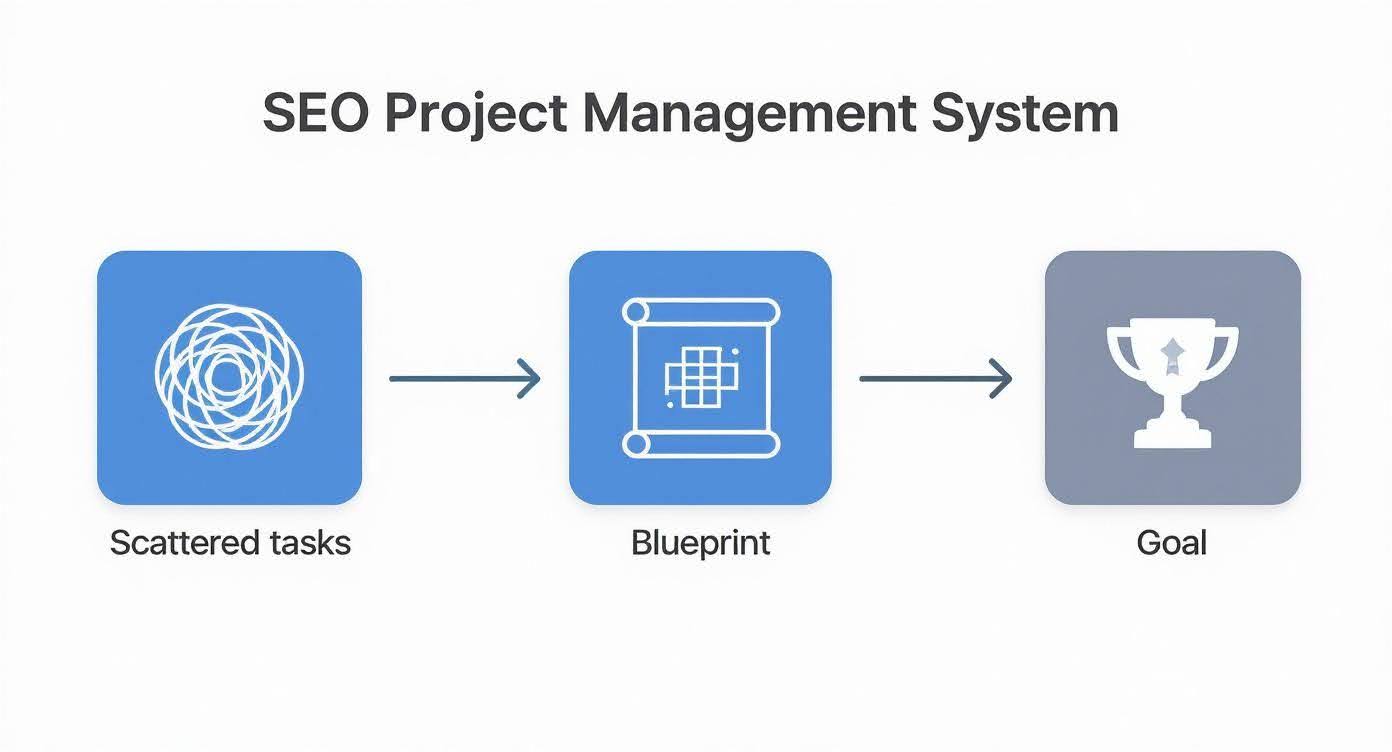 seo-project-management-system