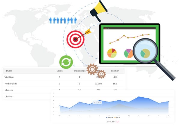 Google Business Profile Insights